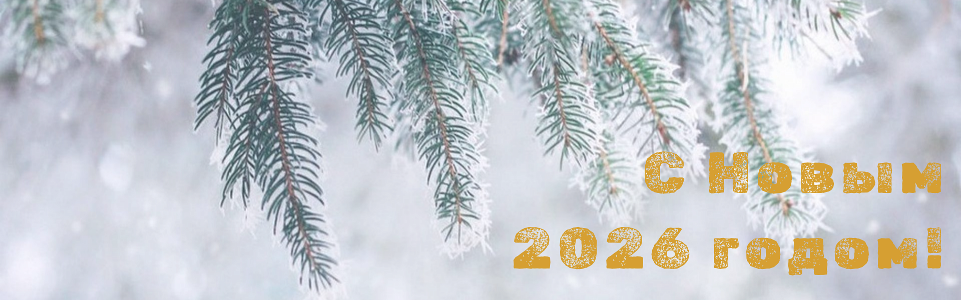 Новый 2026 год